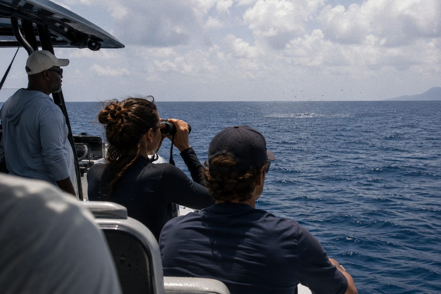 Guests and crew scanning the horizon, one with binoculars raised, seabirds gathering in the distance
